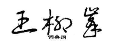 曾庆福王柳峰草书个性签名怎么写
