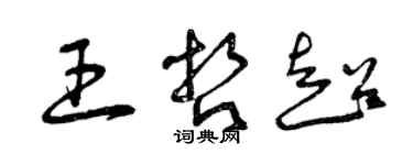 曾庆福王哲超草书个性签名怎么写
