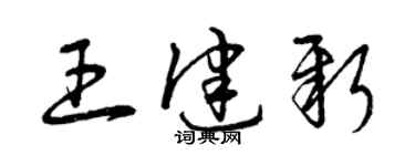 曾庆福王健新草书个性签名怎么写