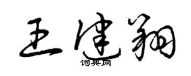 曾庆福王健翔草书个性签名怎么写
