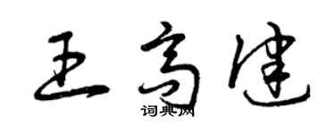 曾庆福王高健草书个性签名怎么写