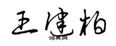 曾庆福王健柏草书个性签名怎么写