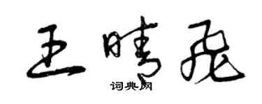 曾庆福王晴飞草书个性签名怎么写