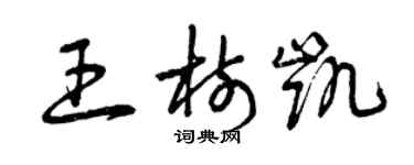 曾庆福王树凯草书个性签名怎么写