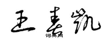 曾庆福王春凯草书个性签名怎么写