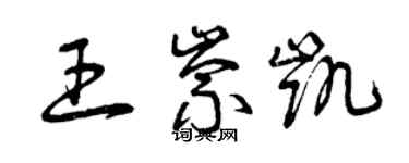 曾庆福王崇凯草书个性签名怎么写