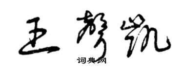 曾庆福王声凯草书个性签名怎么写