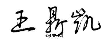 曾庆福王鼎凯草书个性签名怎么写