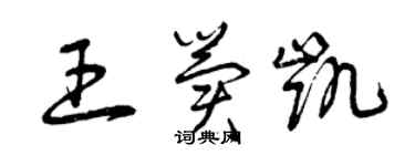 曾庆福王冀凯草书个性签名怎么写