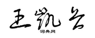 曾庆福王凯畏草书个性签名怎么写