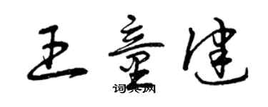 曾庆福王童健草书个性签名怎么写