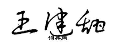 曾庆福王健甜草书个性签名怎么写