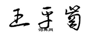 曾庆福王平岗草书个性签名怎么写