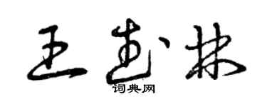 曾庆福王武林草书个性签名怎么写