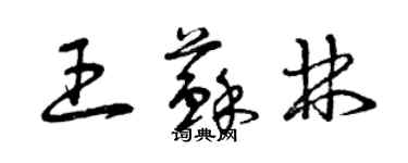 曾庆福王苏林草书个性签名怎么写