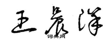 曾庆福王晨洋草书个性签名怎么写