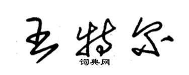 朱锡荣王特尔草书个性签名怎么写