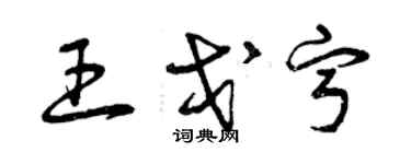 曾庆福王戈宁草书个性签名怎么写