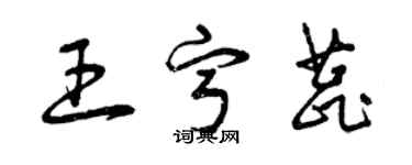 曾庆福王宁蕊草书个性签名怎么写