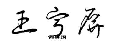 曾庆福王宁屏草书个性签名怎么写