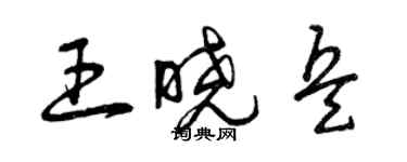 曾庆福王晓兵草书个性签名怎么写