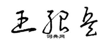 曾庆福王绍兵草书个性签名怎么写