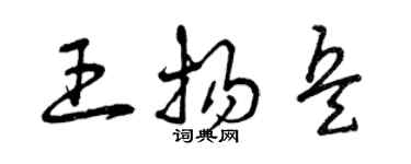 曾庆福王扬兵草书个性签名怎么写