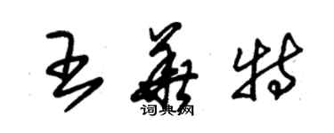 朱锡荣王华特草书个性签名怎么写