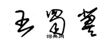 朱锡荣王蜀冀草书个性签名怎么写