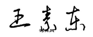 曾庆福王素东草书个性签名怎么写