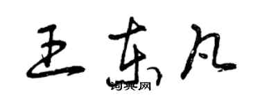 曾庆福王东凡草书个性签名怎么写