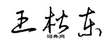 曾庆福王楷东草书个性签名怎么写