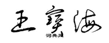 曾庆福王宝海草书个性签名怎么写