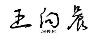 曾庆福王向晨草书个性签名怎么写