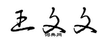 曾庆福王文文草书个性签名怎么写