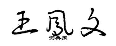 曾庆福王凤文草书个性签名怎么写