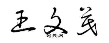 曾庆福王文茂草书个性签名怎么写