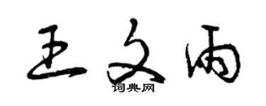 曾庆福王文雨草书个性签名怎么写