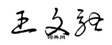 曾庆福王文驰草书个性签名怎么写