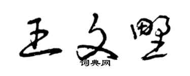 曾庆福王文野草书个性签名怎么写
