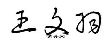 曾庆福王文羽草书个性签名怎么写