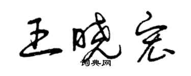 曾庆福王晓宏草书个性签名怎么写