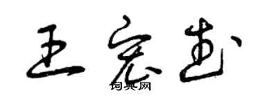 曾庆福王宏武草书个性签名怎么写