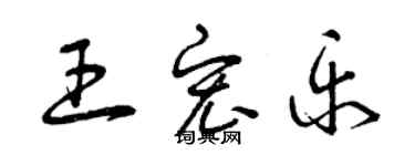 曾庆福王宏乐草书个性签名怎么写