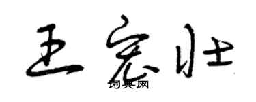 曾庆福王宏壮草书个性签名怎么写