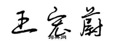 曾庆福王宏蔚草书个性签名怎么写