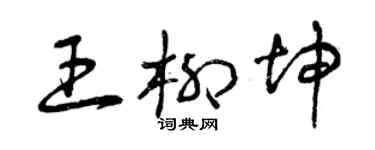 曾庆福王柳坤草书个性签名怎么写