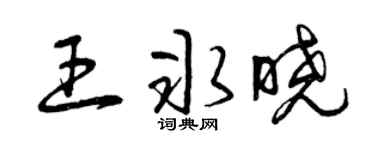 曾庆福王冰晓草书个性签名怎么写