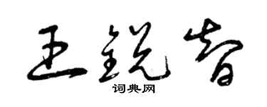曾庆福王锐智草书个性签名怎么写