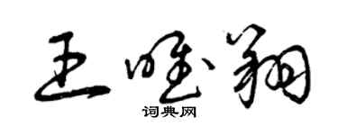 曾庆福王唯翔草书个性签名怎么写